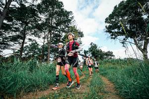 BIB: 
                            <button type="button" onclick="openModal(26037396)" class="btn btn-primary btn-sm float-right btn-popup" data-toggle="modal" data-target=".modal-high-quality">
                        <i class="fas fa-shopping-cart"></i> Add to Cart
                    </button>
                                            <button type="button" onclick="isThisMe(26037396, true)" class="btn btn-success btn-sm float-right btn-popup btn-isme hidden" data-toggle="tooltip" data-placement="bottom" title="นี่คือรูปของคุณใช่ไหม คลิกที่นี่เพื่อเอาเข้าอัลบั้ม">
                        <i class="fas fa-plus"></i> Add to album
                    </button>
                    <button type="button" onclick="isThisMe(26037396, false)" class="btn btn-warning btn-sm float-right btn-popup btn-isnotme hidden">
                        <i class="fas fa-ban"></i> Remove from album
                    </button>